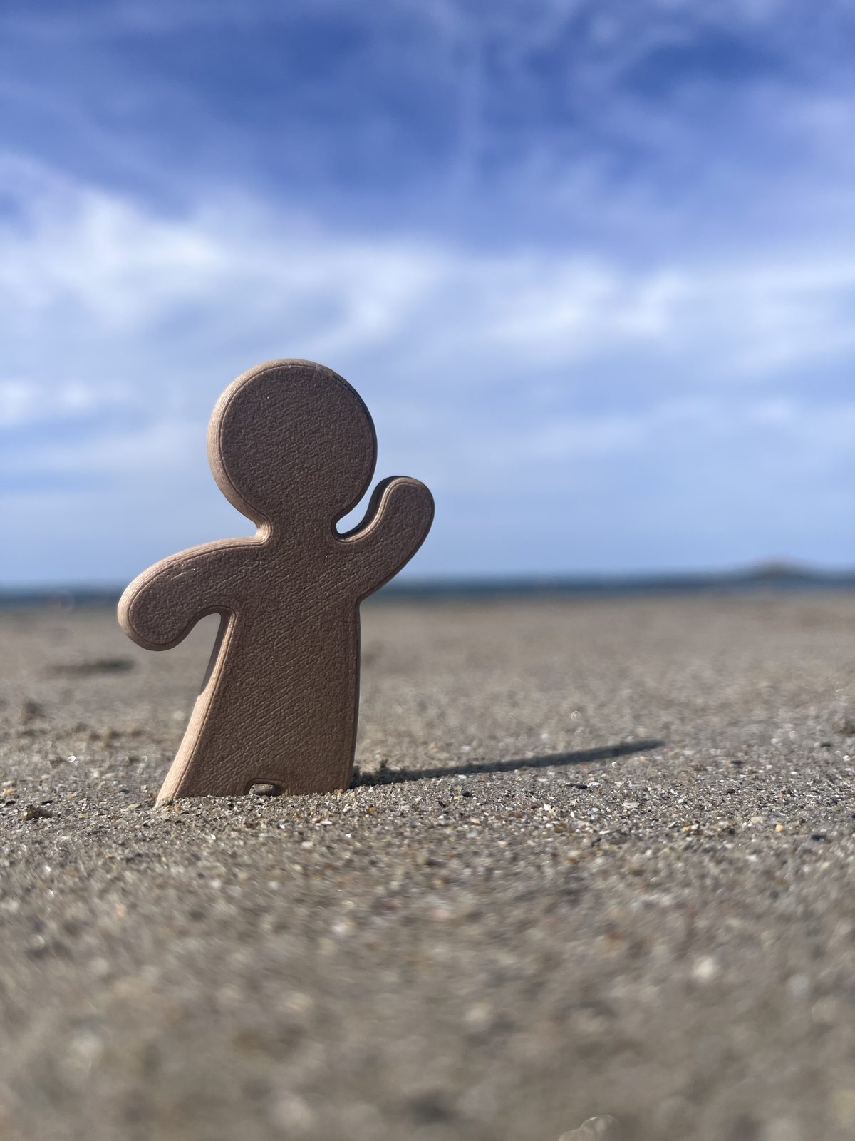 Un Vayanji planté seul dans le sable d'une plage, un bras levé, face à la mer